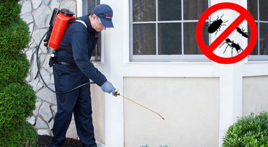 Altınyayla Hamam Böceği İlaçlama böcek ilaçlama ve haşere kontrolü — ilaclama-tr.com